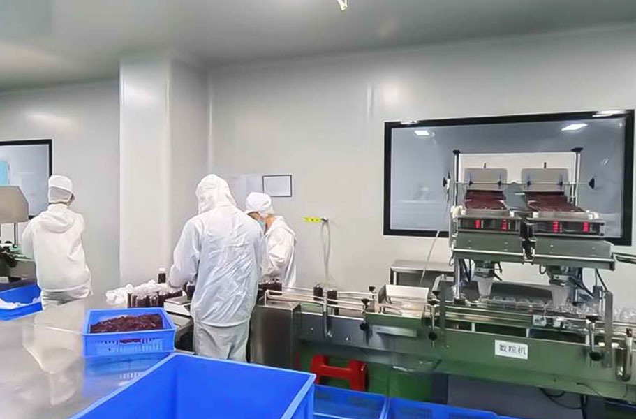 Guangdong Kangsheng Pharmaceutical Technology Co., Ltd.