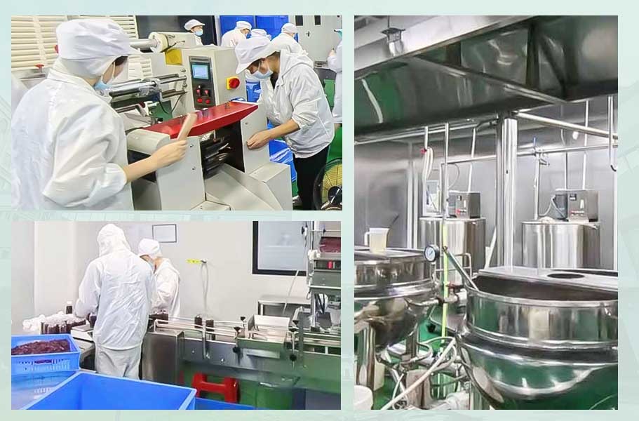 Guangdong Kangsheng Pharmaceutical Technology Co., Ltd.