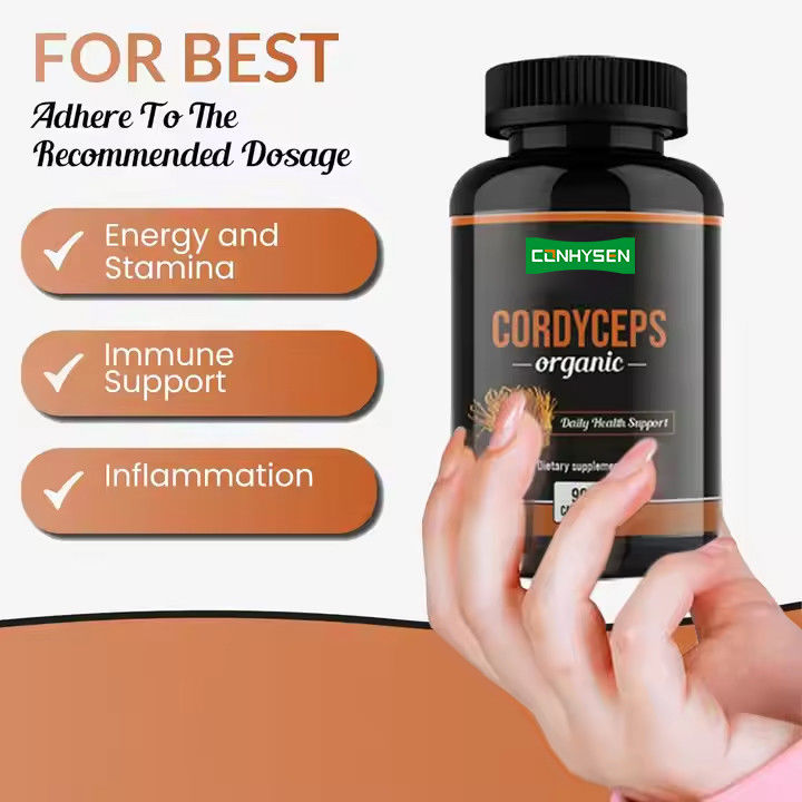 OEM ODM كبسولات Cordyceps العضوية تعزز وظيفة الدماغ كبسولات مكملات الأعشاب