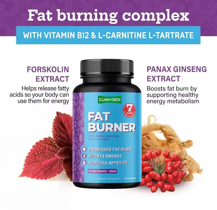 كبسولات حرق الدهون مع فيتامين B12 L-Carnitine L-Tartrate يقلل من الشهية