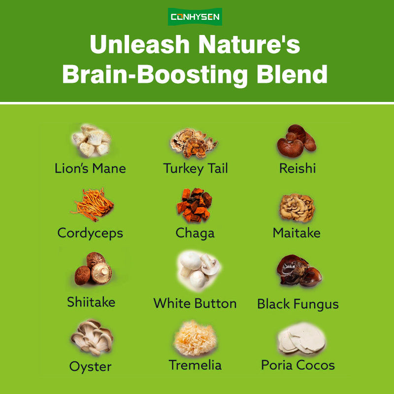 مصنع المكملات الغذائية الفطر أداء خليط كبسولات لدعم أفضل التركيز الذاكرة