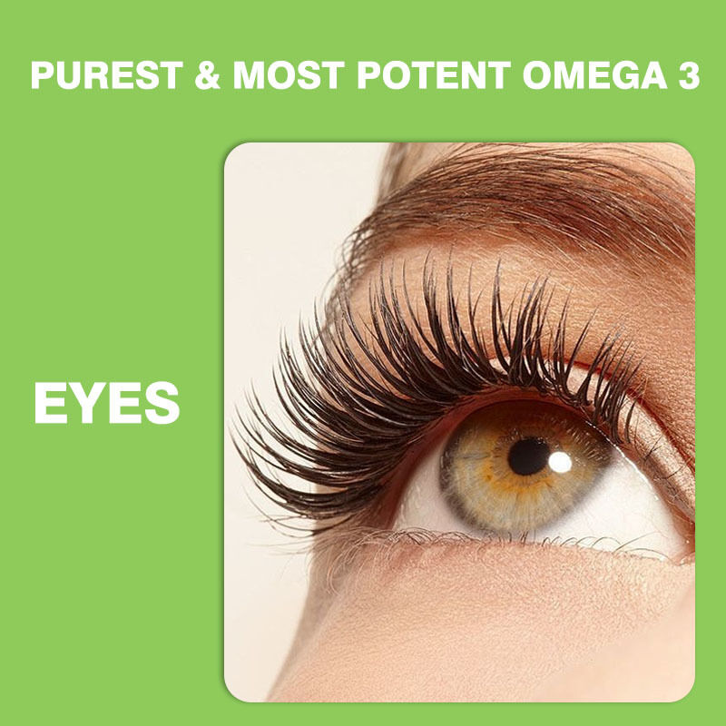 أفضل مبيعات أوميغا 3-6-9 العلكة للأطفال والبالغين مكملات الفيتامينات للدماغ والقلب مكملات DHA للمراهقين