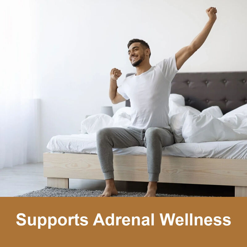 علكة جذور الماكا ذات العلامة الخاصة عالية الجودة للرجال - مكمل لتعزيز الطاقة 1800 مجم علكة مستخلص الماكا للنساء والرجال